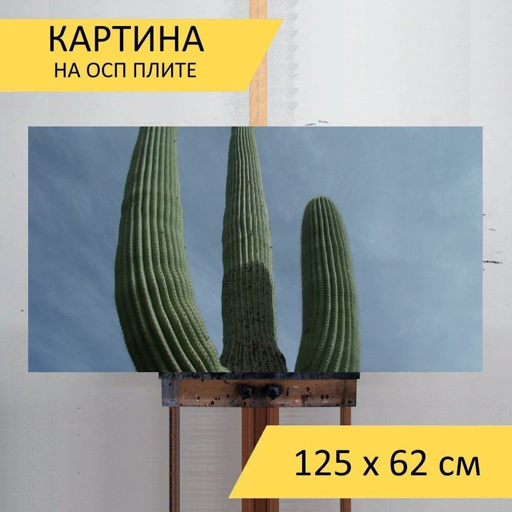 LotsPrints Картина "Кактус, высокий, пустыня 31", 125  х 62 см #1