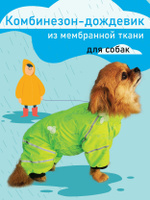 Собачий комбинезон??? - Все страницы - обсуждение на форуме НГС Новосибирск