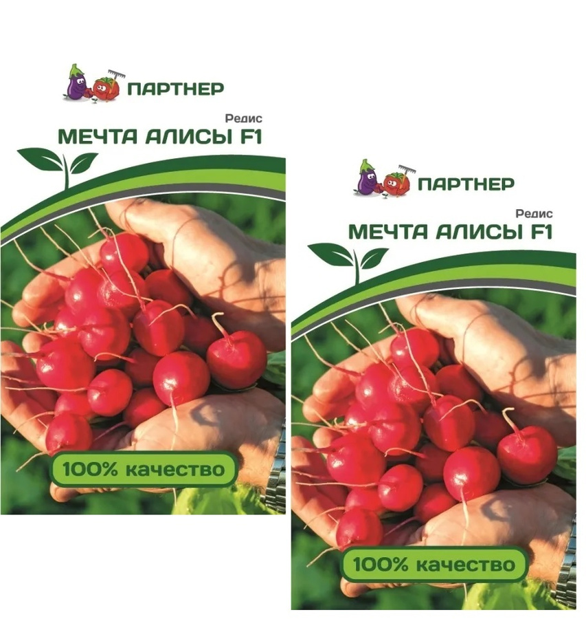 Редис мечта алисы описание сорта фото