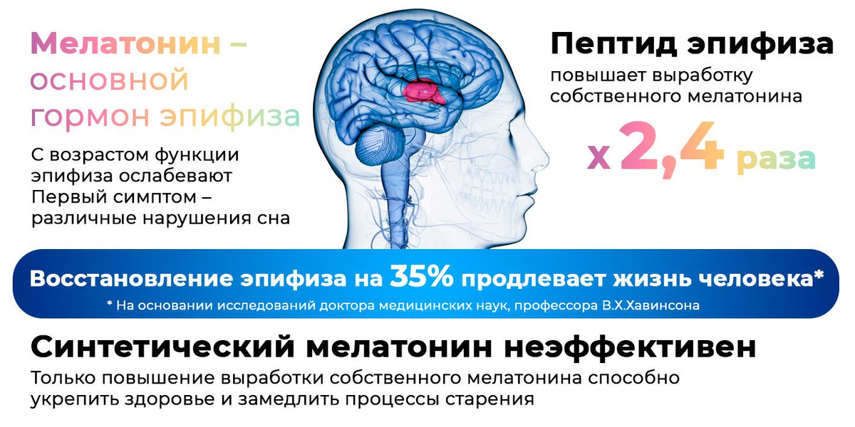 Текстовое описание изображения