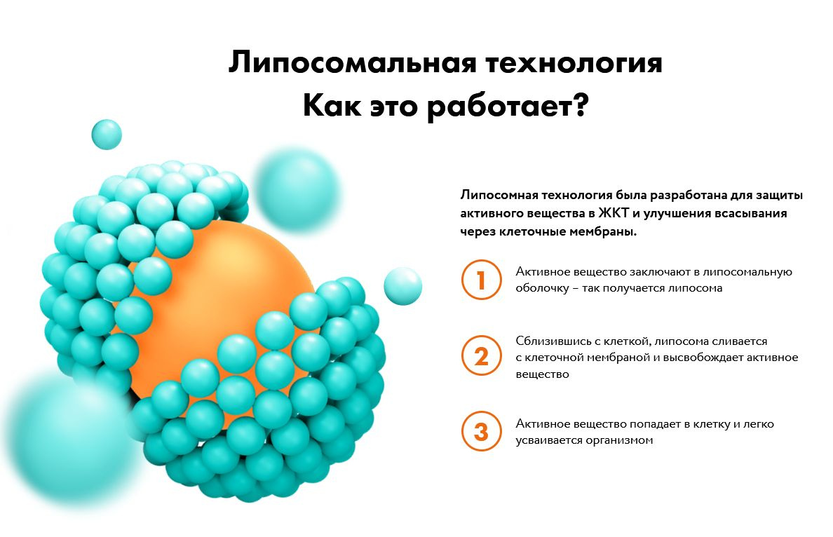 Активен во всех видах обмена веществ, будучи водорастворимым, проникает во все ткани, регулирует окислительно-восстановительные процессы.  Витамин С – мощный антиоксидант немедленного действия, обеспечивает прямую защиту белков, жиров, ДНК и РНК клеток от негативного влияния свободных радикалов.  Витамин С не синтезируются организмом и крайне неустойчив во внешней среде. Оптимальный источник – липосомированная форма в виде БАД.  Недостаток витамина С ведет к таким негативным последствиям, как дефицит соединительной ткани, ослабление иммунитета, возникновение синяков, повышенная кровоточивость, медленное заживление ран, ломкость ногтей и волос, покраснения и сухость кожи, боль в суставах, увеличение веса.