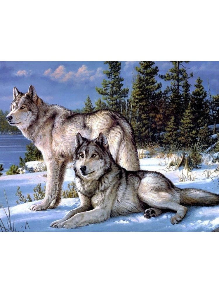 Картина по номерам Волк с волчицей 40х50 см 1000 Toys hobby #1