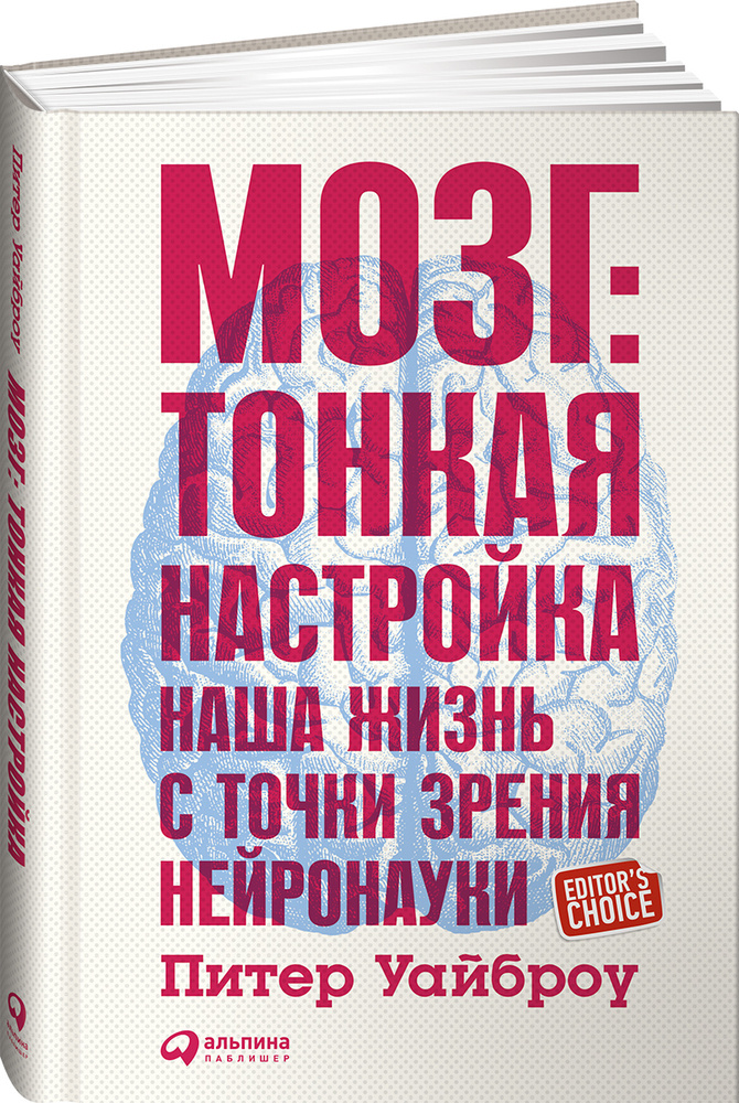 Мозг. Тонкая настройка. Наша жизнь с точки зрения нейронауки | Уайброу Питер  #1