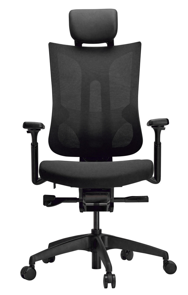 SCHAIRS Офисное кресло, Сетка, Ткань, черный #1