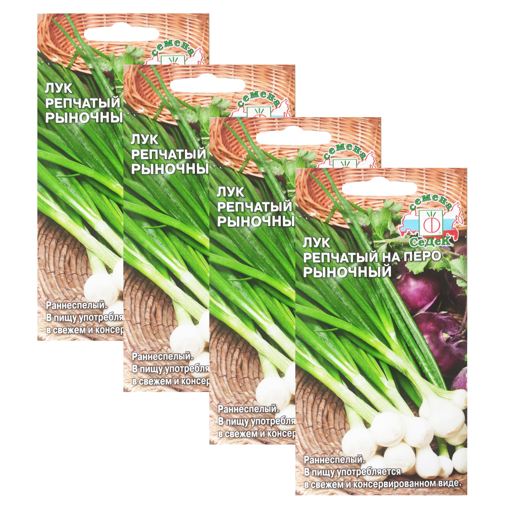 Семена Лук репчатый на перо Рыночный 1 г (СеДеК) , 4 упаковки * 1 г
