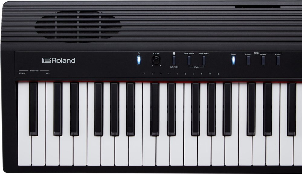 Цифровые пианино Roland GO-88P-0416 #1