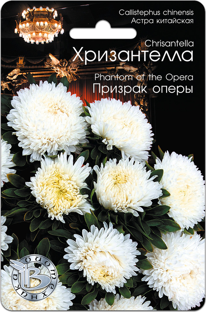 Астра китайская Хризантелла Призрак оперы (семена БИОТЕХНИКА, 30 шт.)  #1