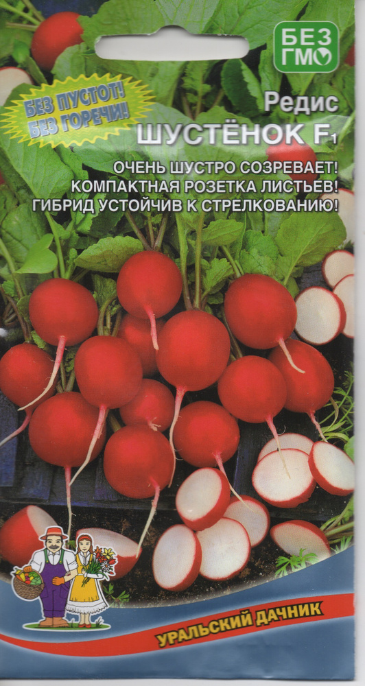 Редис Шустенок, 2г., Уральский Дачник #1