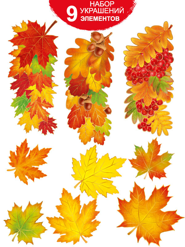 Набор оформительский "Осенние веточки и листья", картон  #1