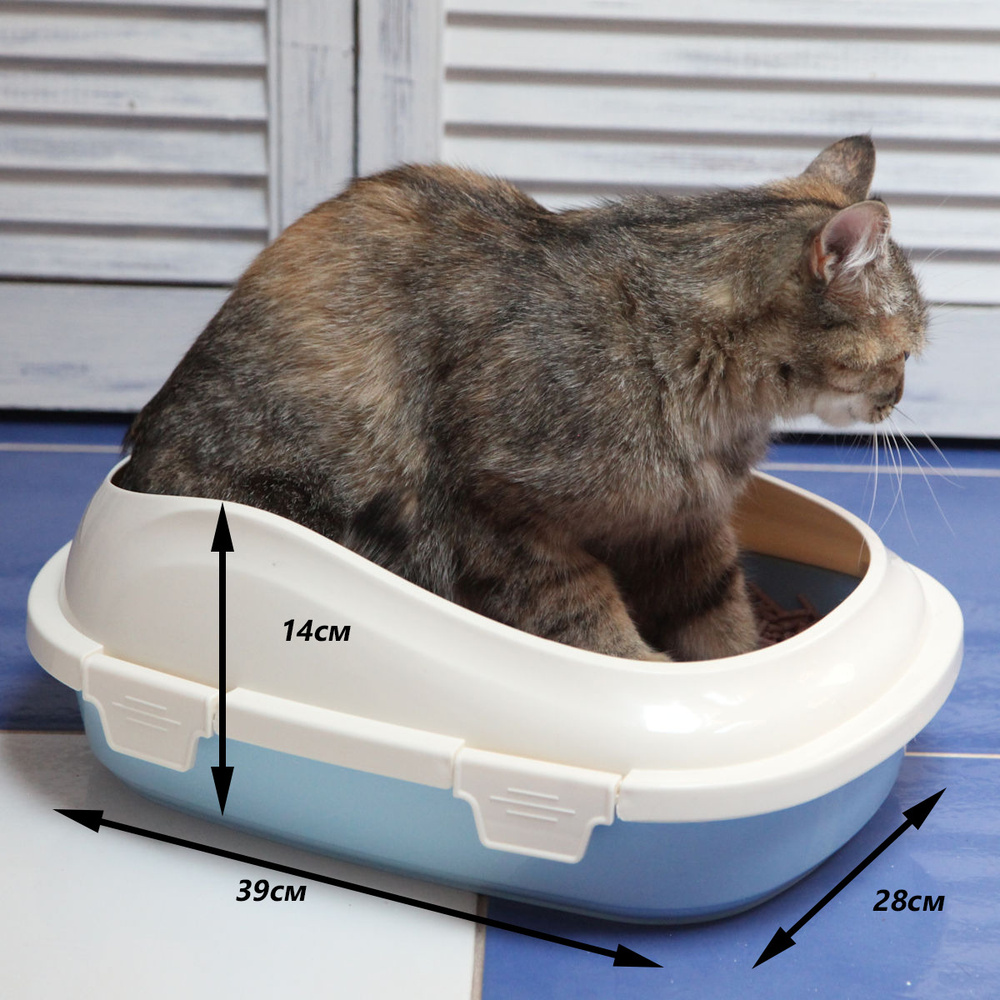 Лоток для кошек большой с бортом Шурум-Бурум туалет для кошек  #1