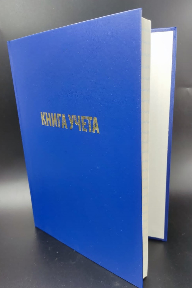 Книга учета 96 л. линейка, обложка бумвинил, блок газетка, арт.КУГЛ-3160  #1