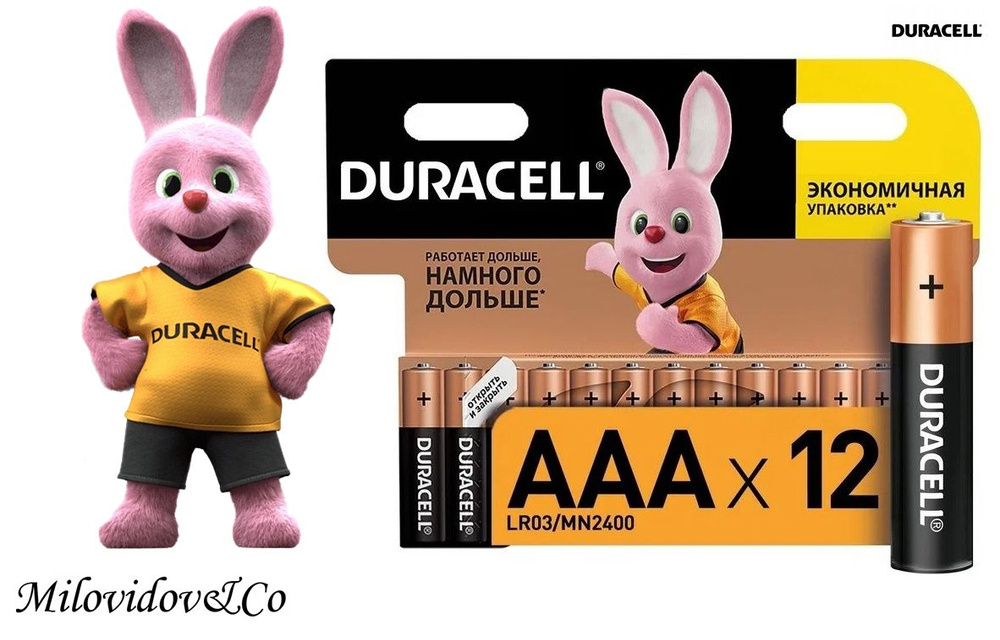 Duracell Батарейка AAA, Щелочной тип, 1,5 В, 12 шт #1