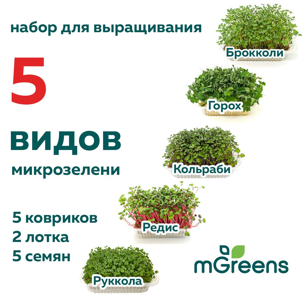 mGreen’s Набор для выращивания #1