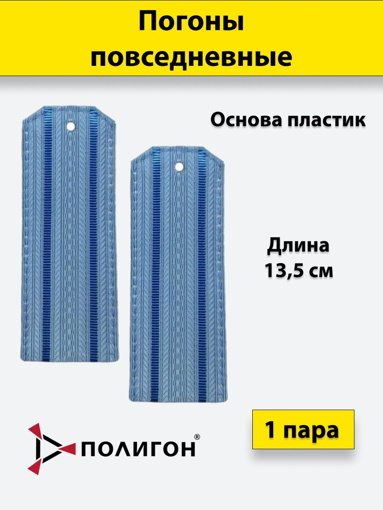 Погоны ФСБ голубые 2 васильковых просвета, нового образца, на пластике  #1