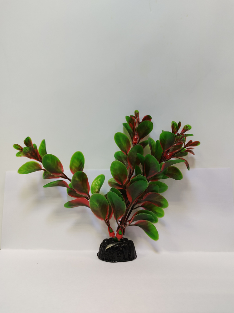 Растение пластиковое Людвигия красно-зеленая 10 см #1