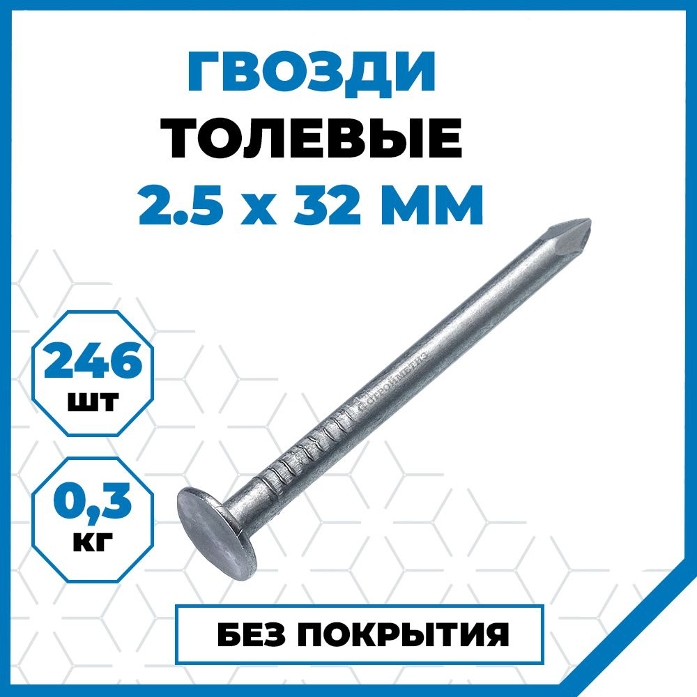 Гвозди Стройметиз толевые 2.5х32, сталь, без покрытия, 300 гр. (246 шт.)  #1