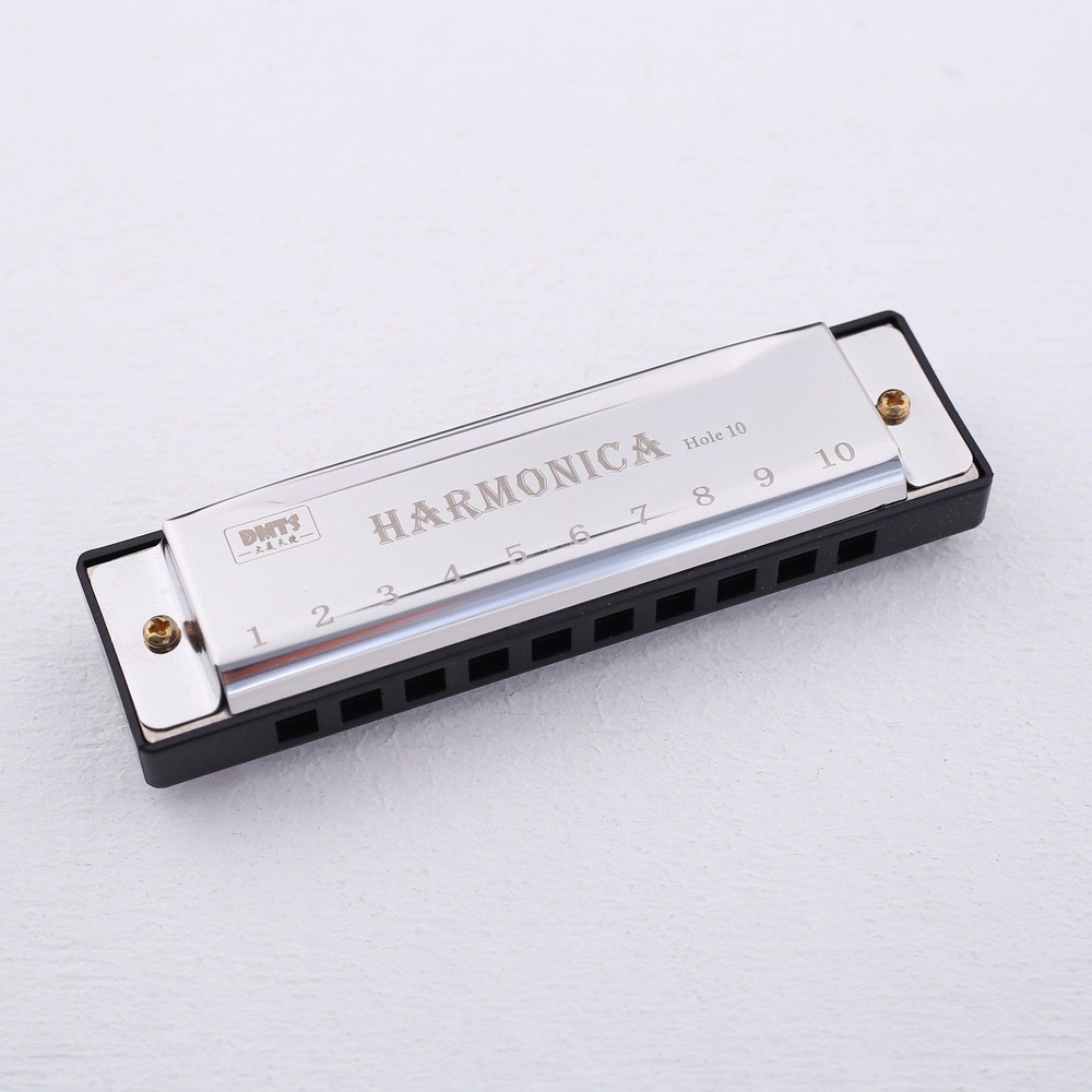 Губная гармошка Harmonica без кофра #1