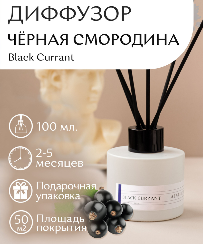 Диффузор для дома "Черная смородина" Black Currant 100 мл. #1