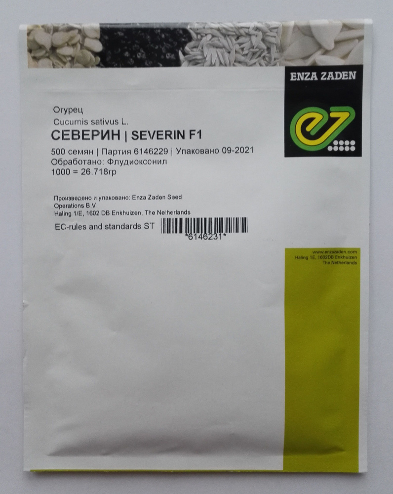 Профессиональные семена Огурец "Северин F1". Enza Zaden. 500шт семян в 1 упаковке  #1