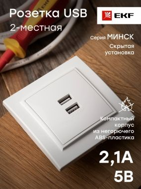 Минск Розетка USB 2-местная СП 2,1А белая EKF - 1 шт. #1