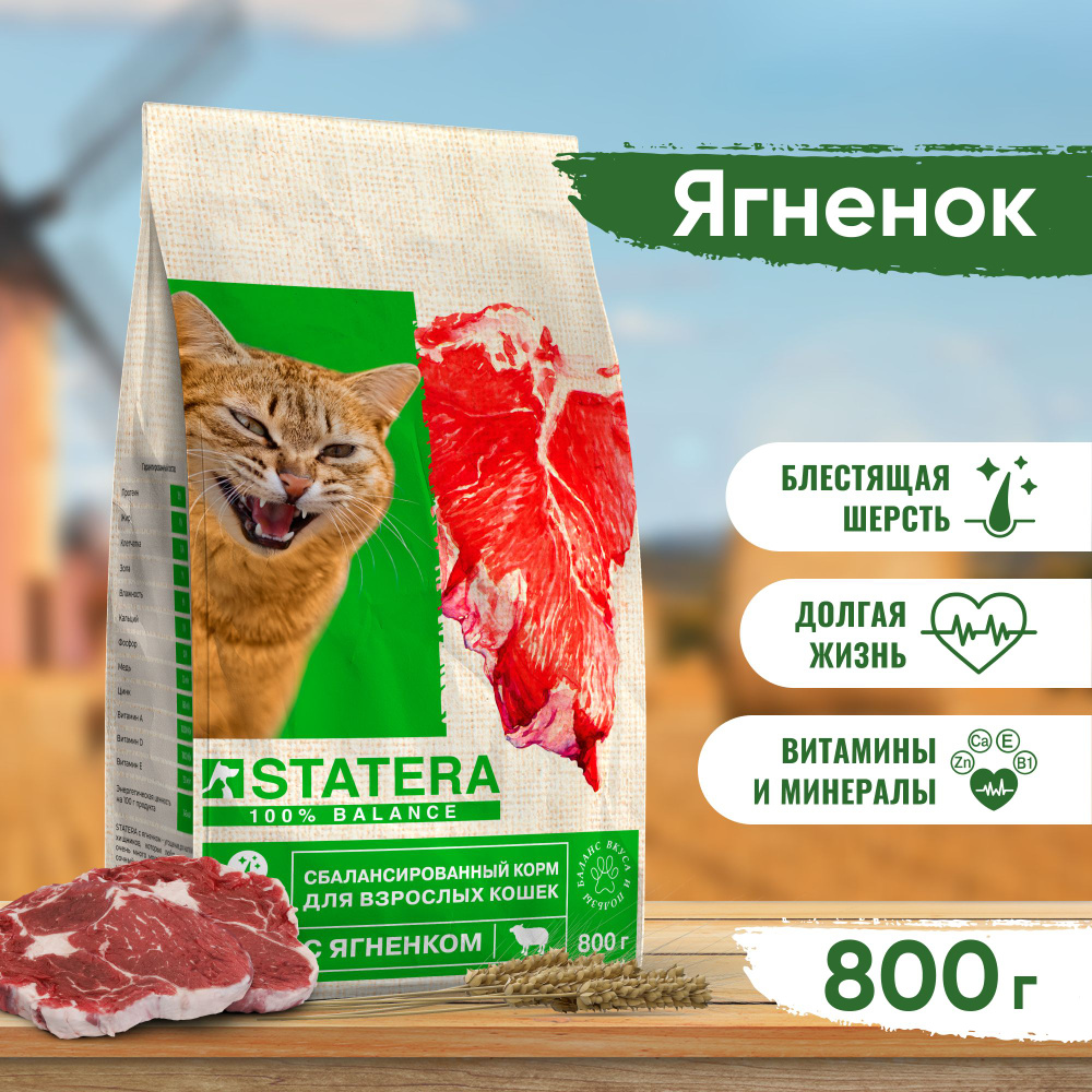 Статера корм для кошек/ Корм для кошек сухой STATERA с ягненком, 800г  #1