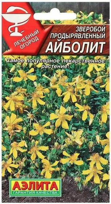 Зверобой Айболит , 1 пакетик 0,1 гр. семян, Аэлита #1