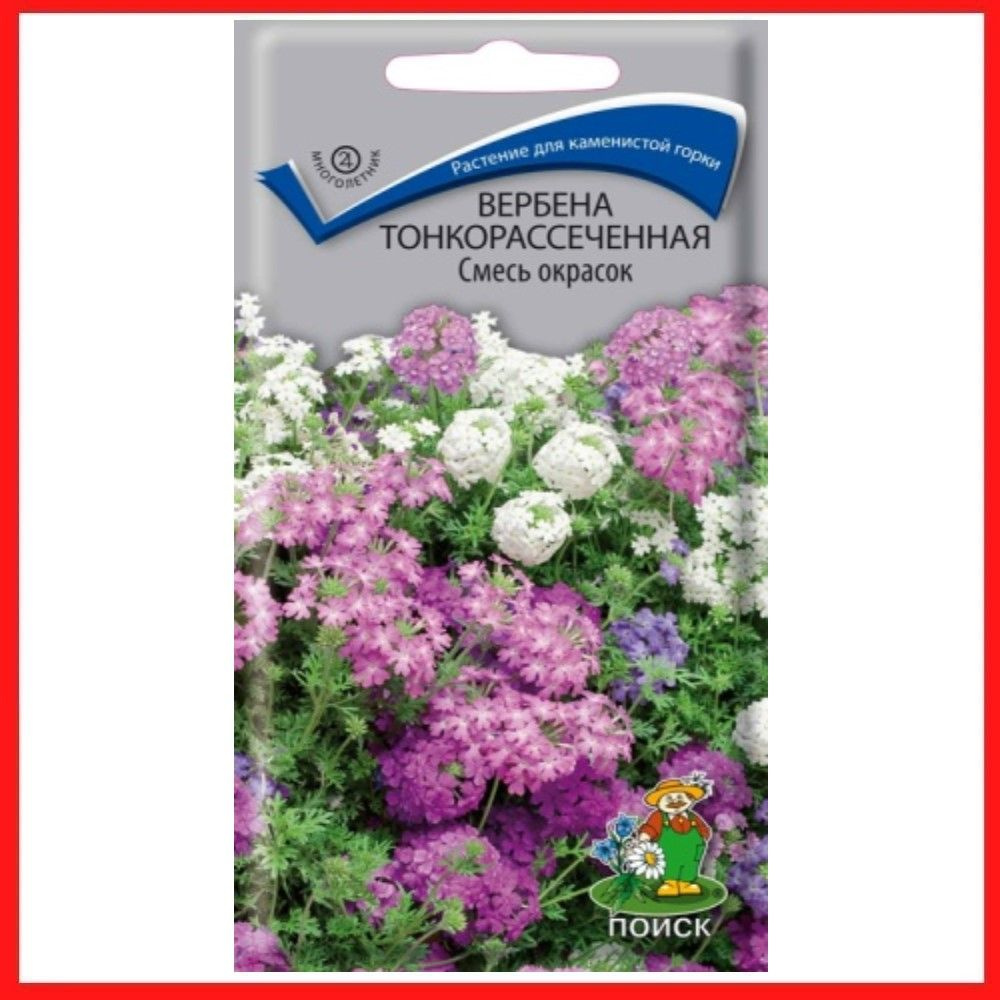 Семена цветов многолетних Вербена тонкорассеченная "Смесь окрасок" 0,02 гр, для дачи, сада и огорода, #1