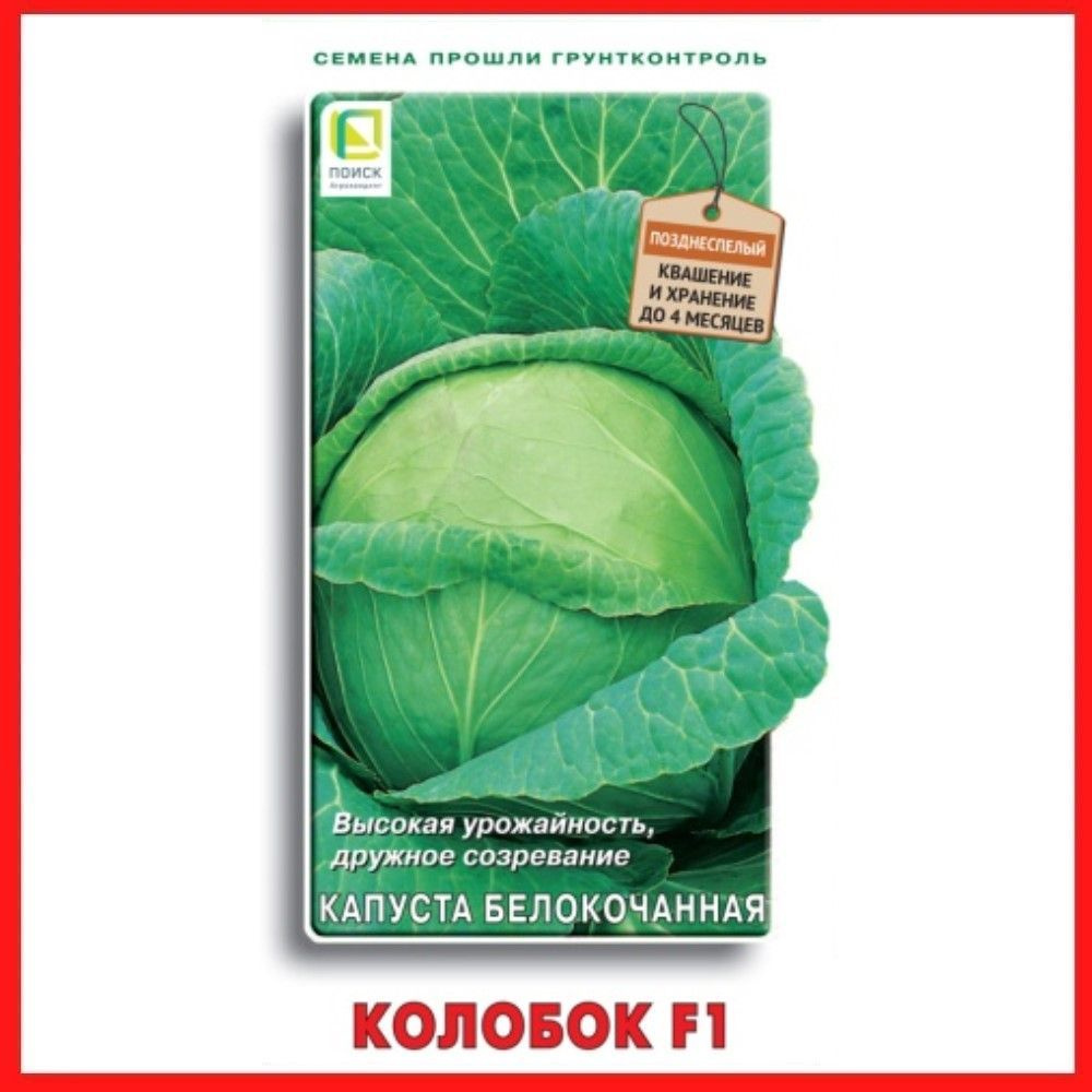 Семена Капуста белокочанная "Колобок F1" 0,2 гр, для дома, дачи и огорода, в открытый грунт, овощи из #1