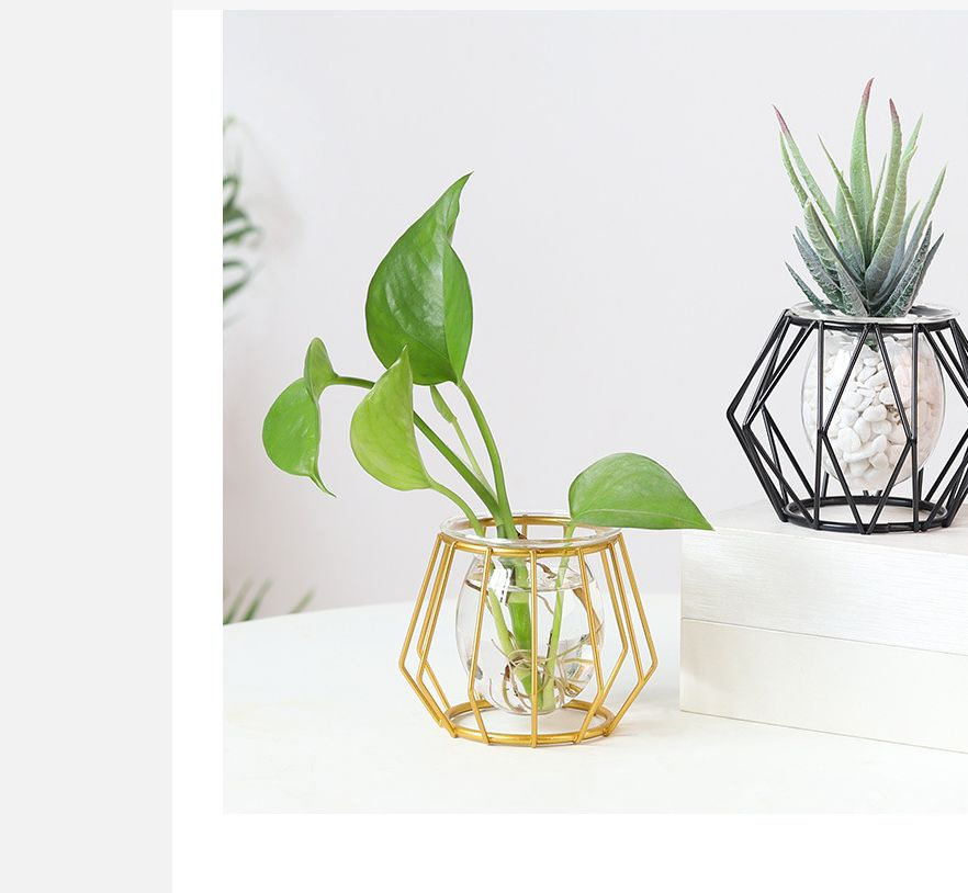 Мини-ваза для кактуса MyPads, металлическая настольная полая без стенок со стеклянной колбой, идеально #1