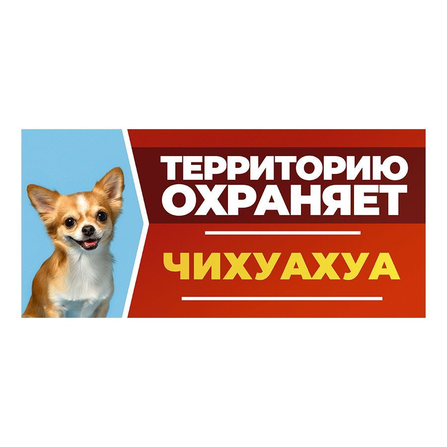 Табличка, DANGER DOG, Чихуахуа, на забор, 30см х 14см #1