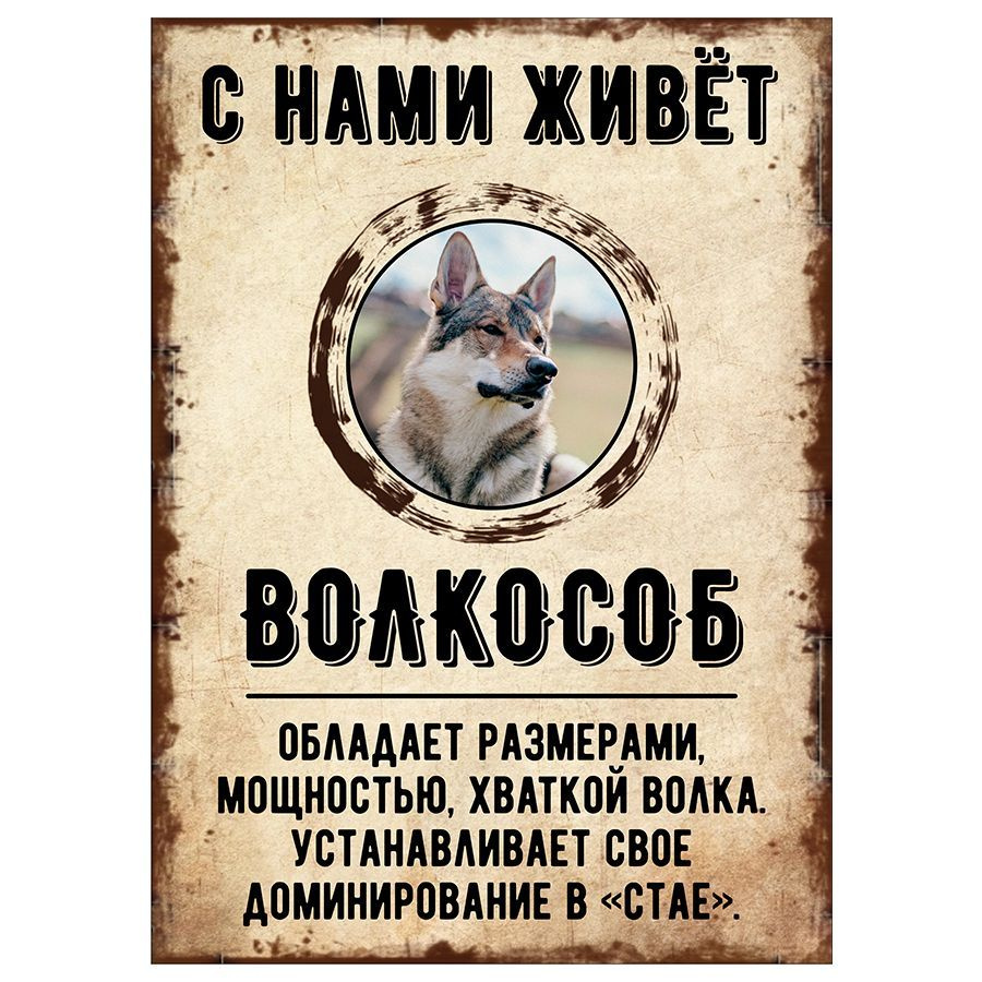 Табличка, декоративная, DANGER DOG, С нами живет Волкособ, 18см х 25см  #1