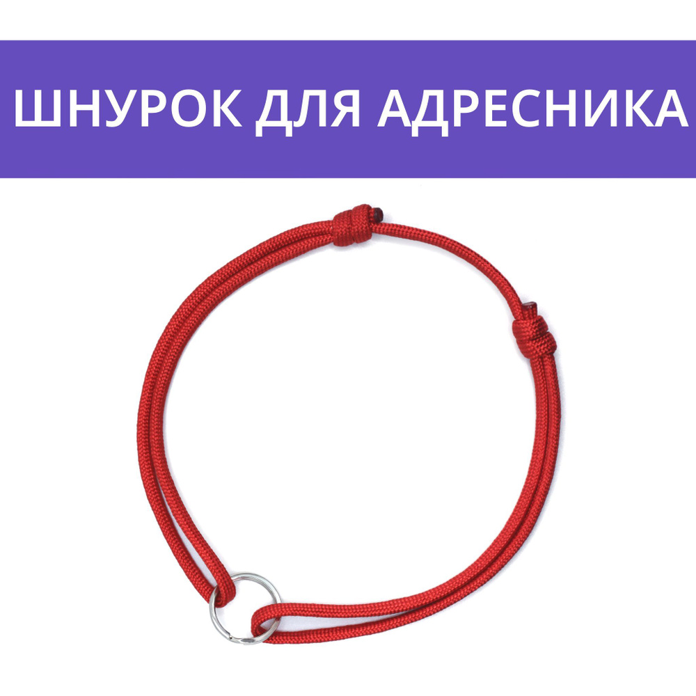 Шнурок для адресника с кольцом, M (30-60 см) - купить с доставкой по  выгодным ценам в интернет-магазине OZON (998503376)