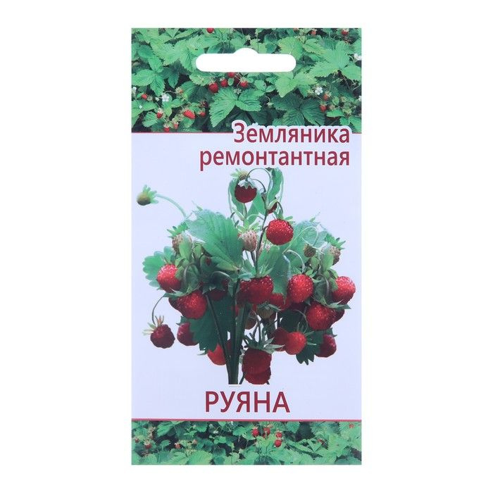 Добрый Урожай. Семена "Растет дома и на даче" Земляника Руяна, 8 пакетиков по 10 семян  #1