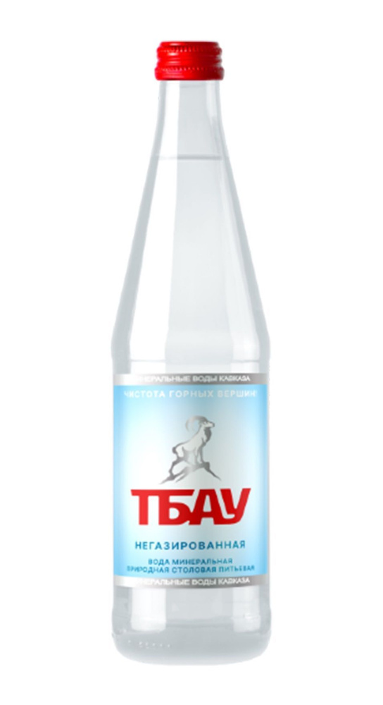 Вода питьевая природная Тбау 20 шт по 0,45 л без газа, стекло  #1