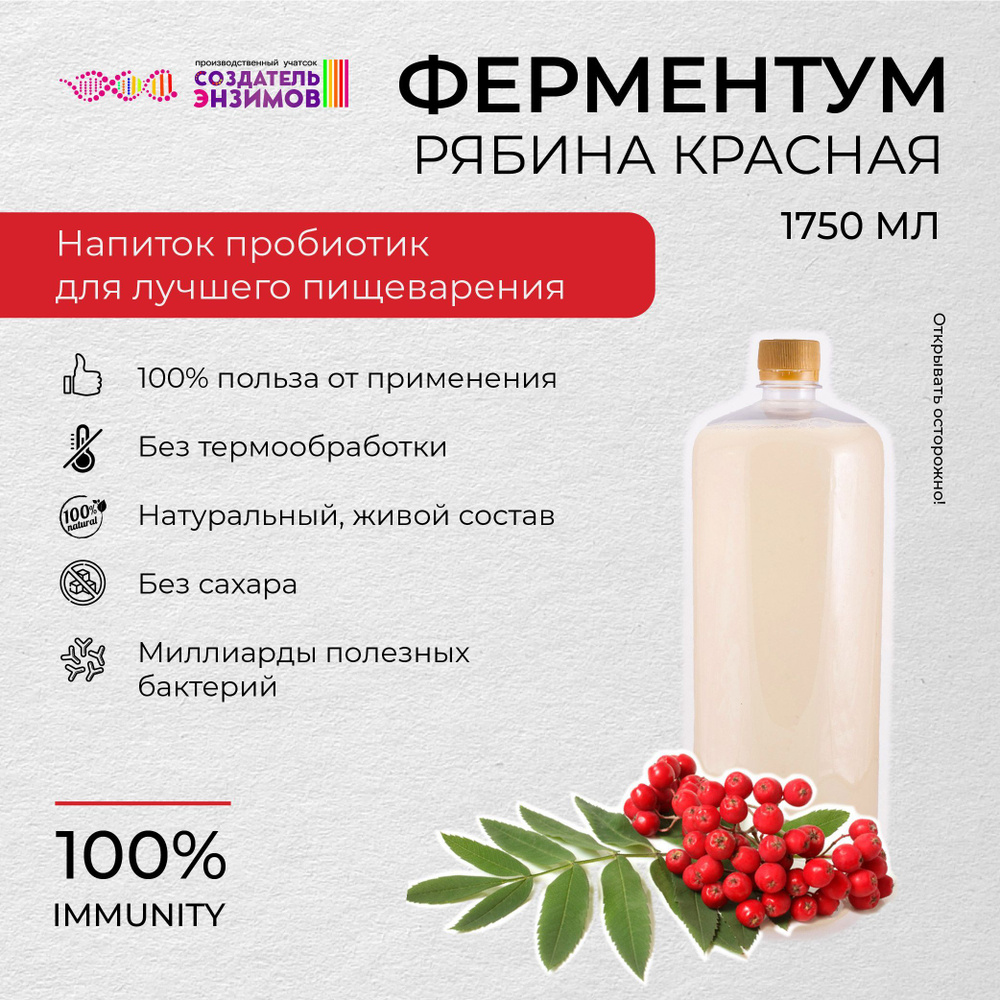 Ферментум Создатель Энзимов Рябина красная 1,75 л. ПЭТ #1