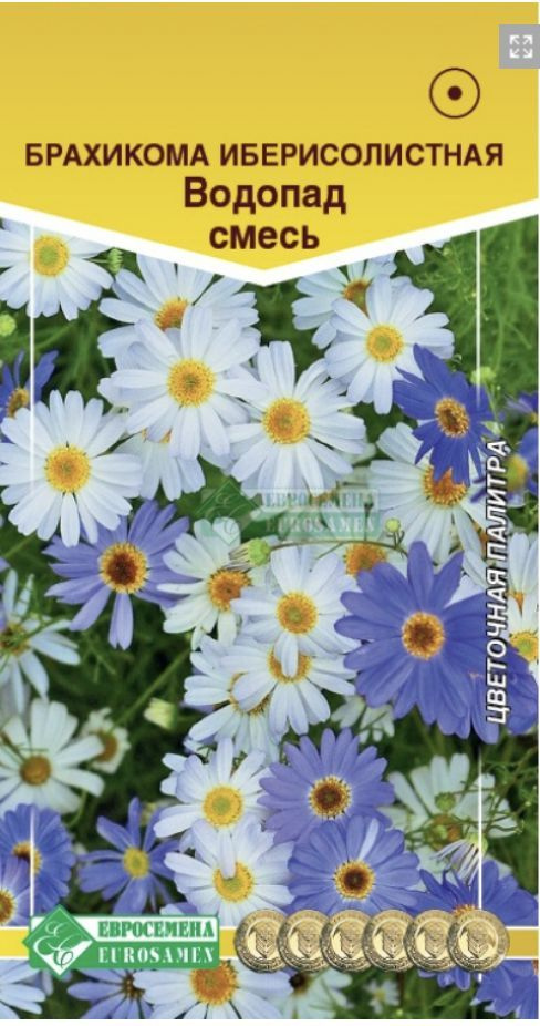 Брахикома иберисолистная ВОДОПАД (смесь), 1 пакет, семена 0,05 гр, Евросемена  #1