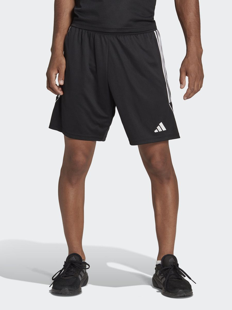 Шорты adidas Tiro23 L Tr Short #1