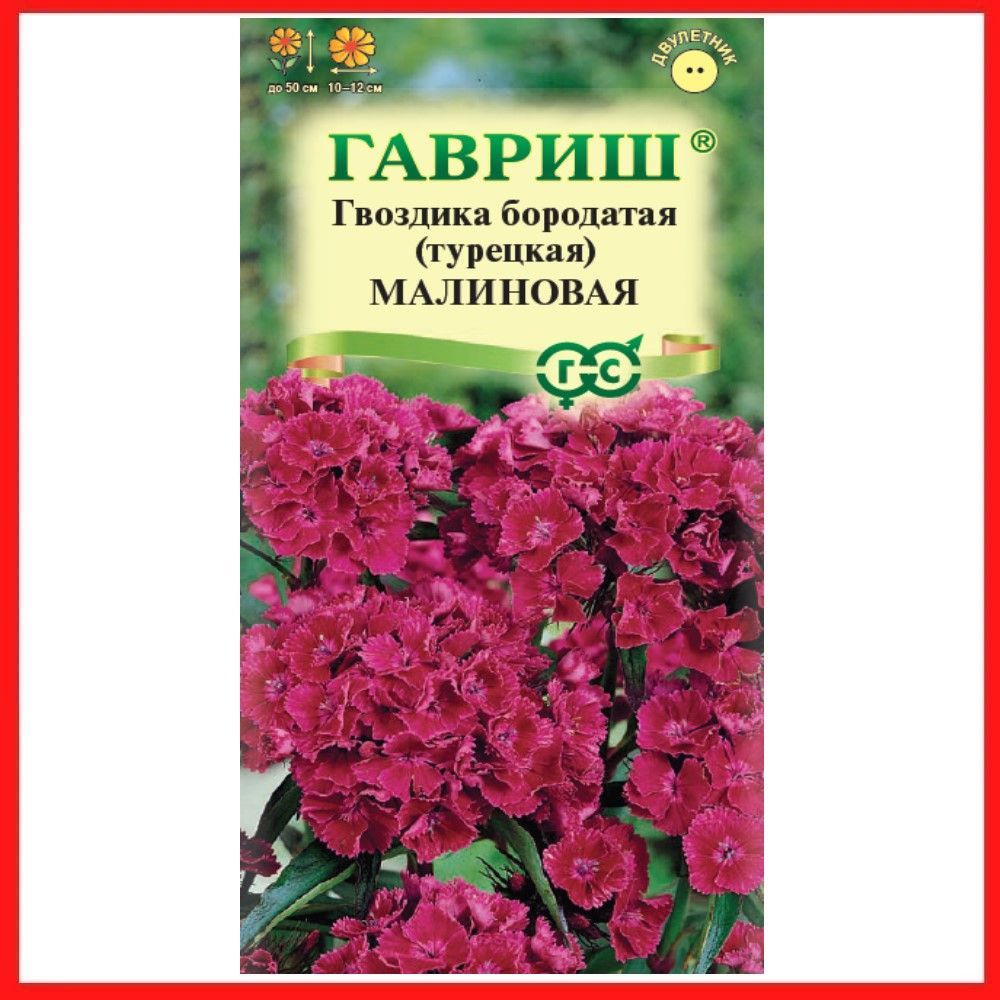 Семена Гвоздика бородатая "Малиновая" турецкая 0,1 гр, двулетние цветы для дачи, сада и огорода, клумбы, #1