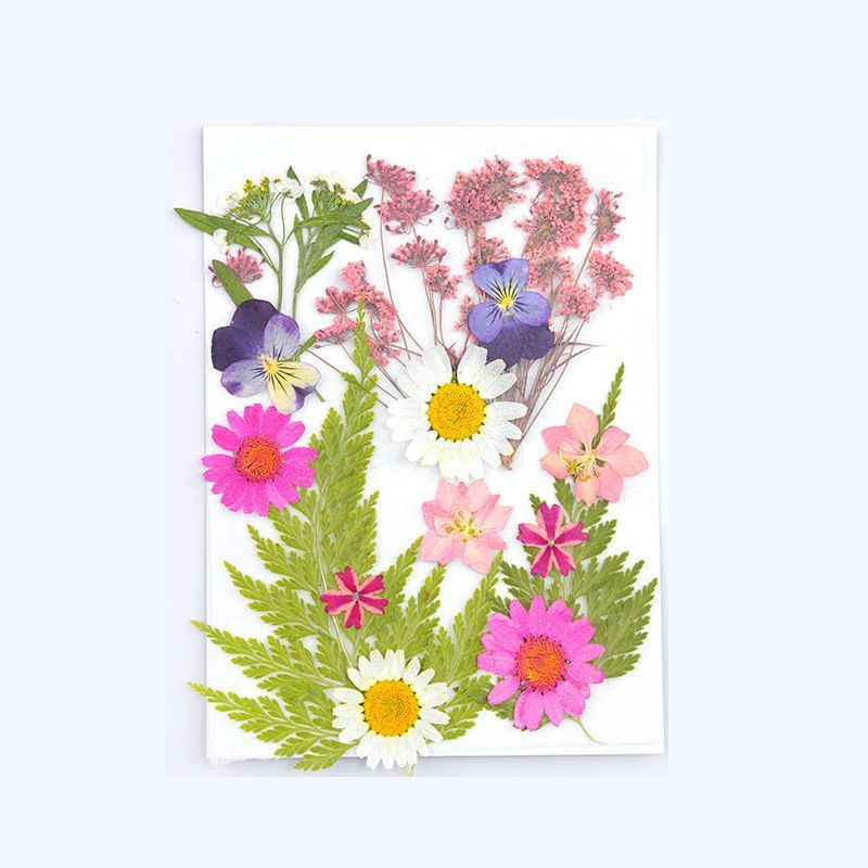Набор натуральных сухоцветов для творчества, декора, 16 шт. 130*105 мм / сухоцветы для изготовления украшений #1