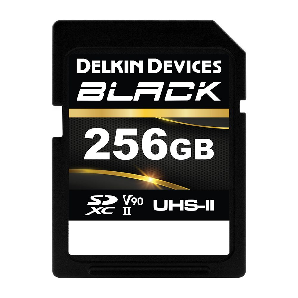 Карта памяти Delkin Devices Black Rugged SDXC 256GB UHS-II V90 (DSDBV90256BX) #1