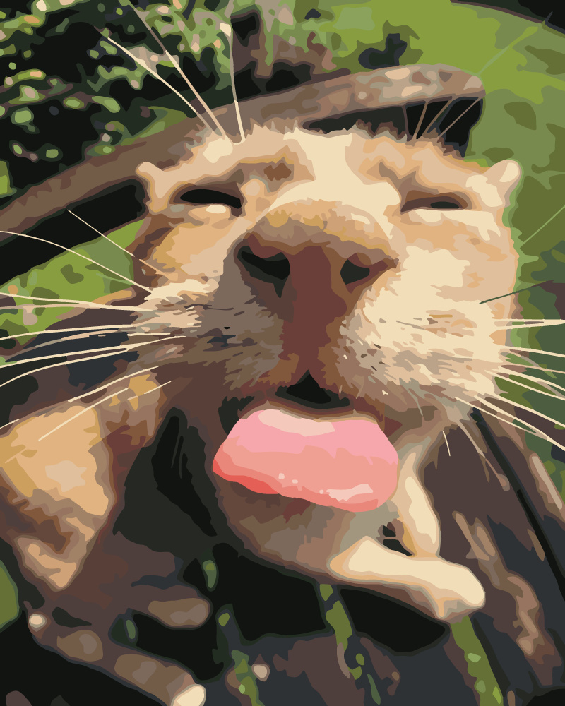 Картина по номерам Hobruk "Смешной кот", на холсте на подрамнике 40х50, раскраска по номерам, набор для #1