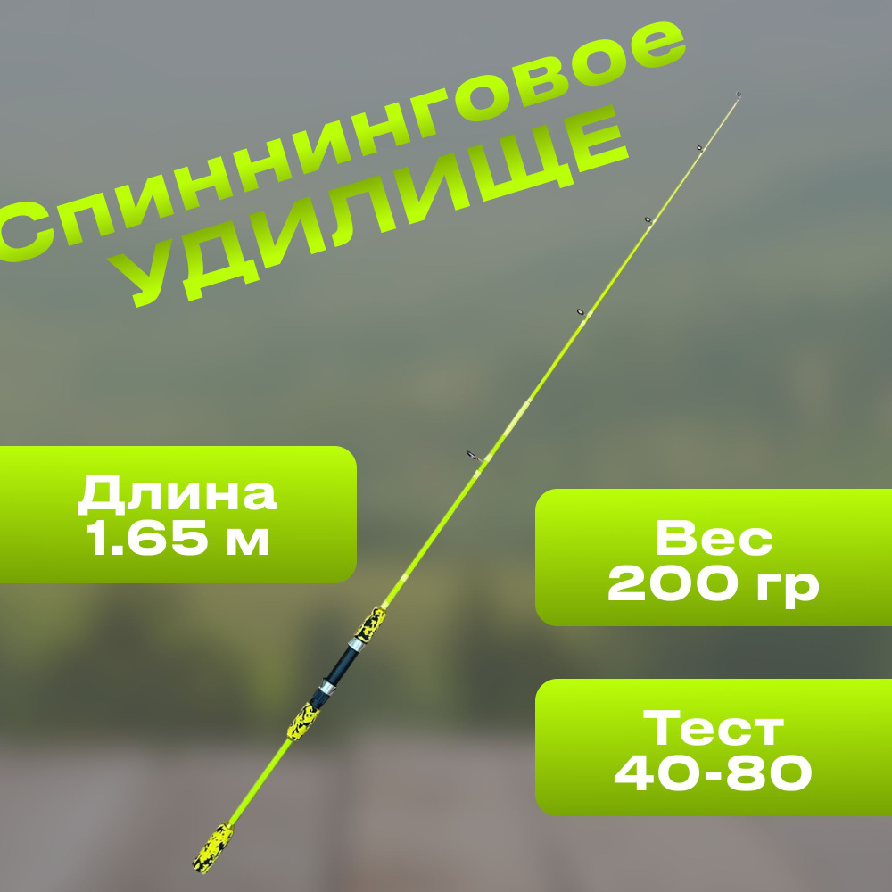 FISHING REPUBLIC Спиннинг, рабочая длина:  165 см , до 80 гр #1