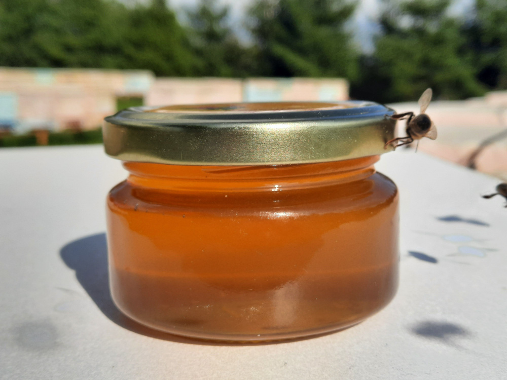 Мёд тёмный, деревенский прямо из улья жидкий 100 мл. / мед натуральный 2023 года / мед луговое разнотравие #1