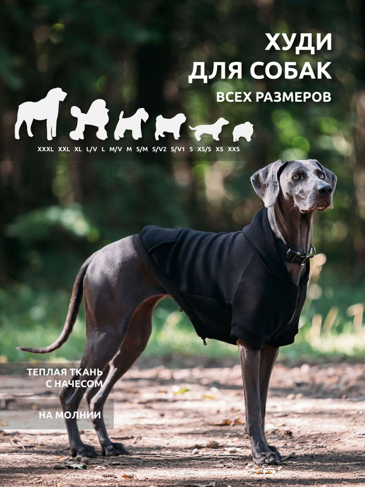 Худи для собаки - купить с доставкой по выгодным ценам в интернет ...