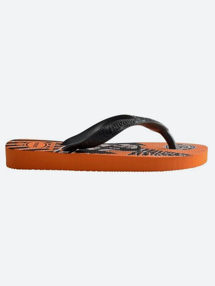 Сланцы Havaianas #1