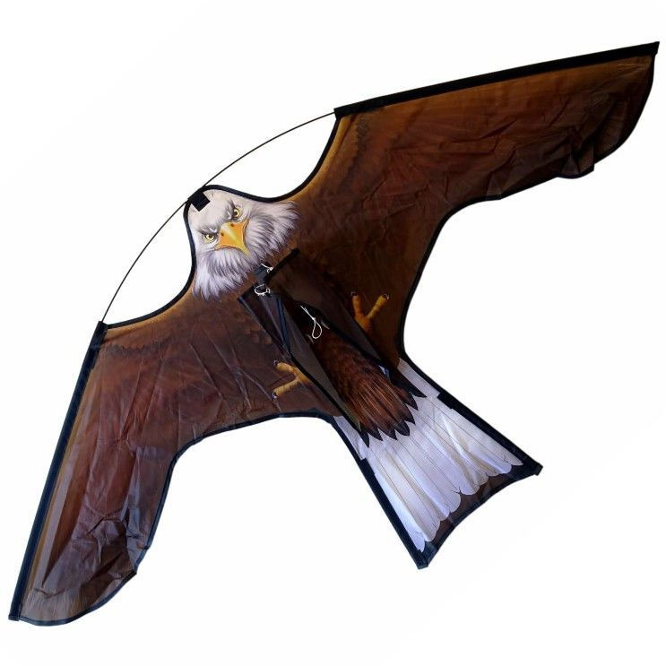 Визуальный, динамический отпугиватель птиц Орлан белохвост, пугало, воздушный змей  #1