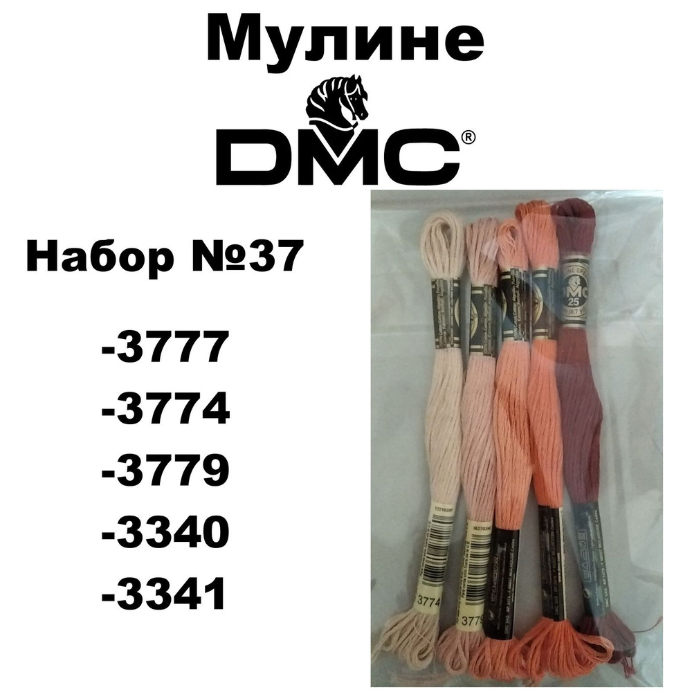 Нитки мулине DMC Embroidery для вышивания / Набор №37 / цвета 3777, 3774, 3779, 3340, 3341  #1