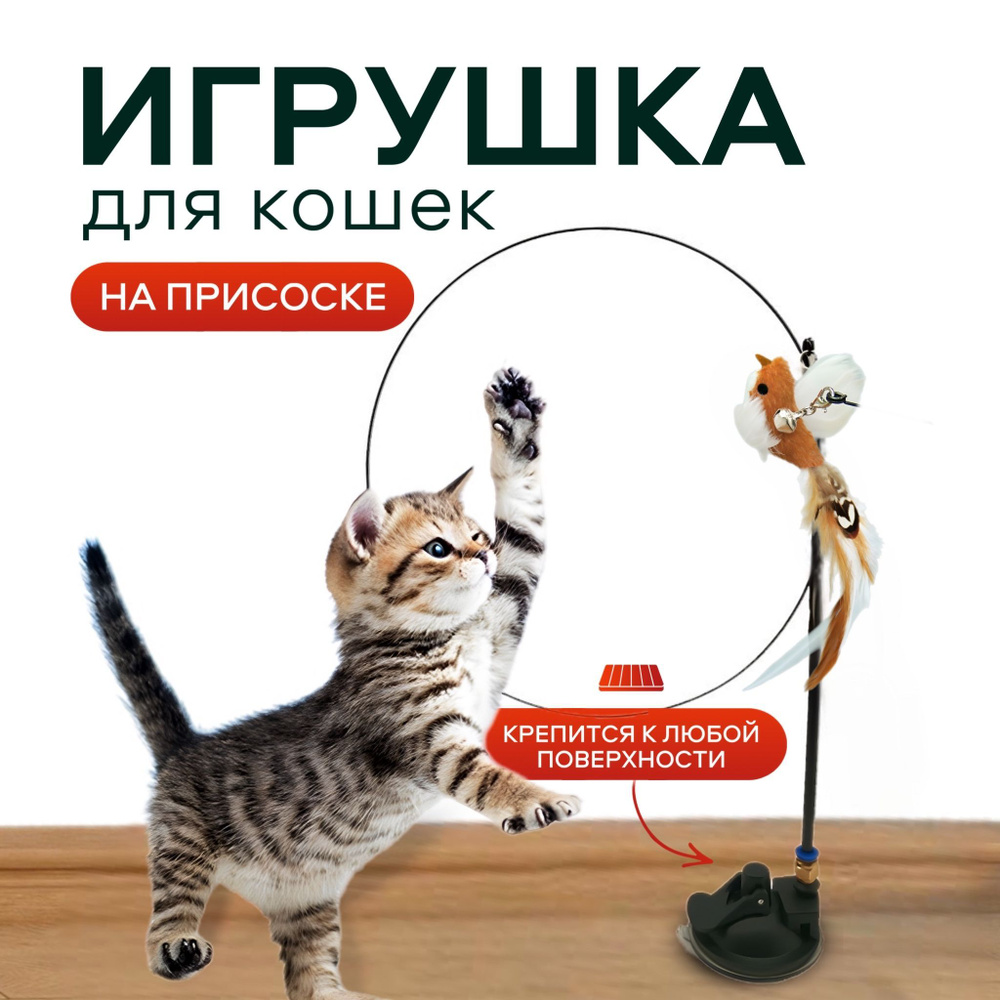 Игрушка для кошек интерактивная, удочка дразнилка на присоске. Зоотовары для котят и кошек и других домашних #1