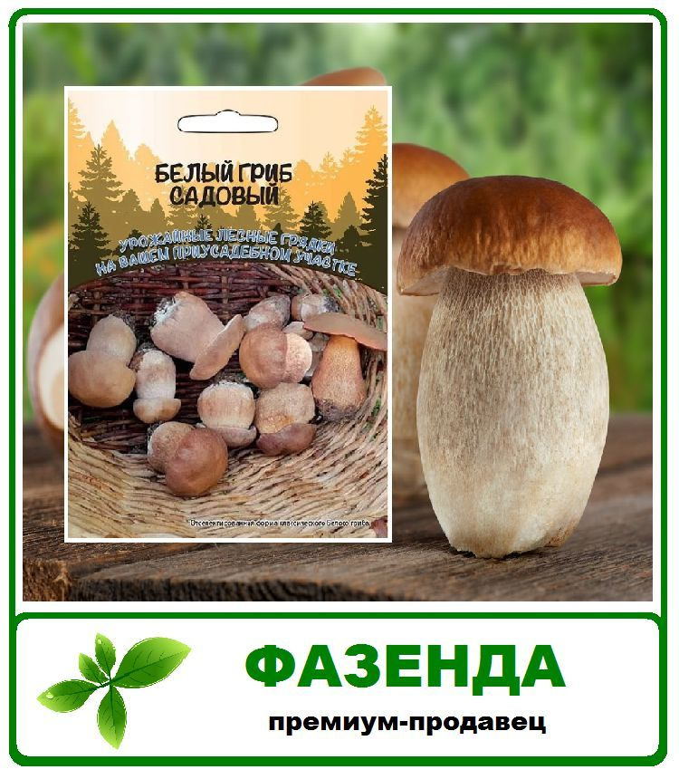 Грибы Белый гриб садовый зерновой мицелий 30мл Уральский Дачник  #1