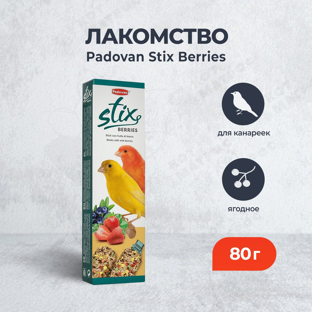 Padovan Berries лакомство для канареек ягодное - 80 г #1